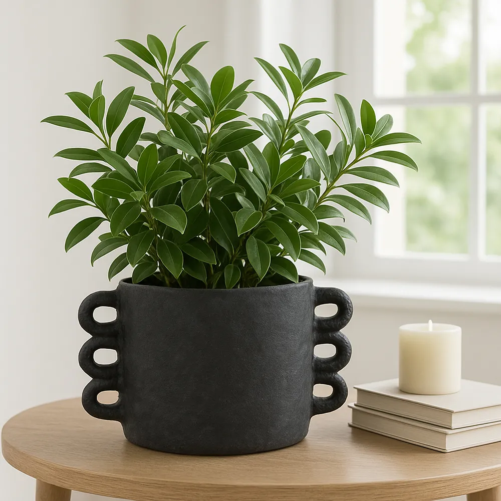 ARLOWHAVEN BLACK PLANTER 8 (IN)