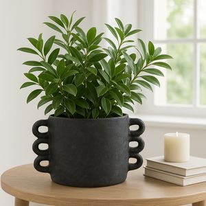 ARLOWHAVEN BLACK PLANTER 8 (IN) 10