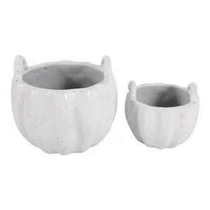 THEAHAM SET OF 2 WHITE PLANTER 11 (IN) 5