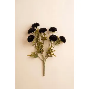 Bundle of 7 Black Ball Dahlias 3