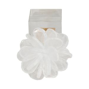 COVERIDGE WHITE DECOR 8 (IN) 6