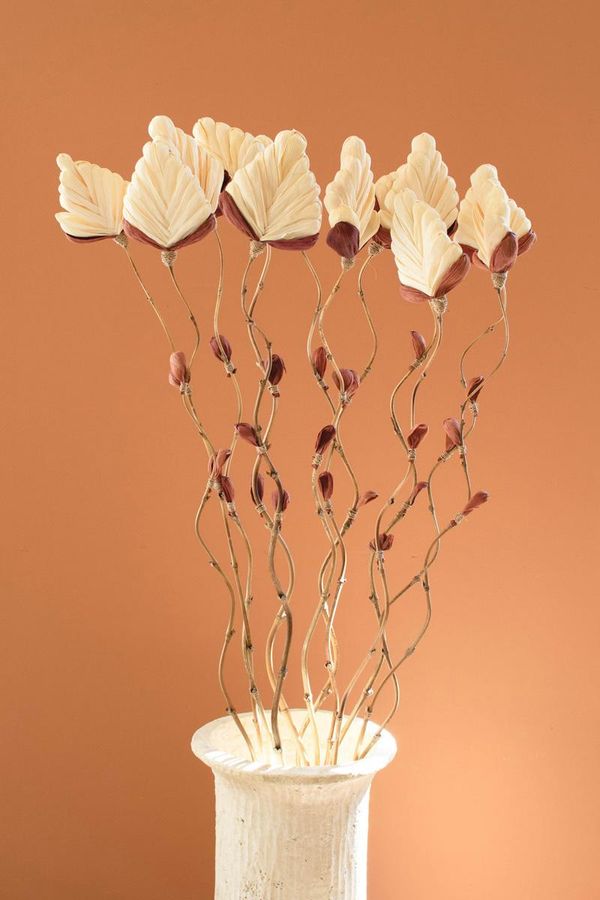 Set of 12 Cornhusk Botanicals on a Bamboo Stem / Fan