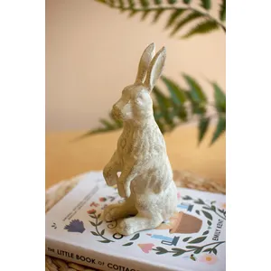 Cast Iron Standing Rabbit 3