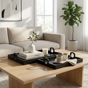 BAXTERMOOR SET OF 2 BLACK TRAY 5 (IN) 10
