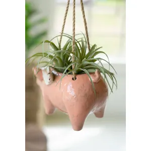 Ceramic Hanging Flying Pig Planter 3