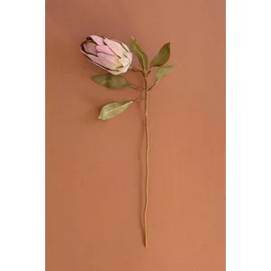 botanica #9032 5