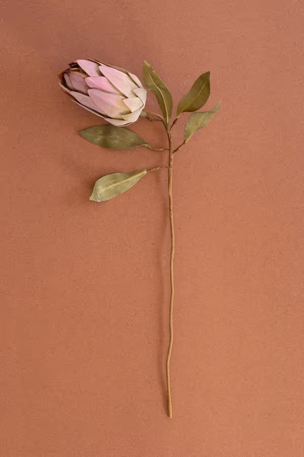 botanica #9032
