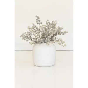 Botanica #9067 2