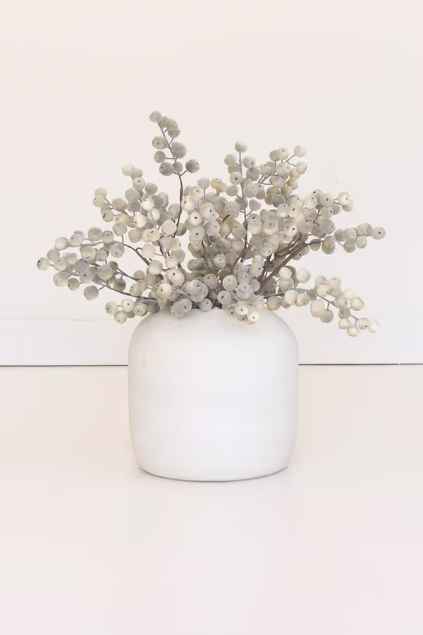 Botanica #9067