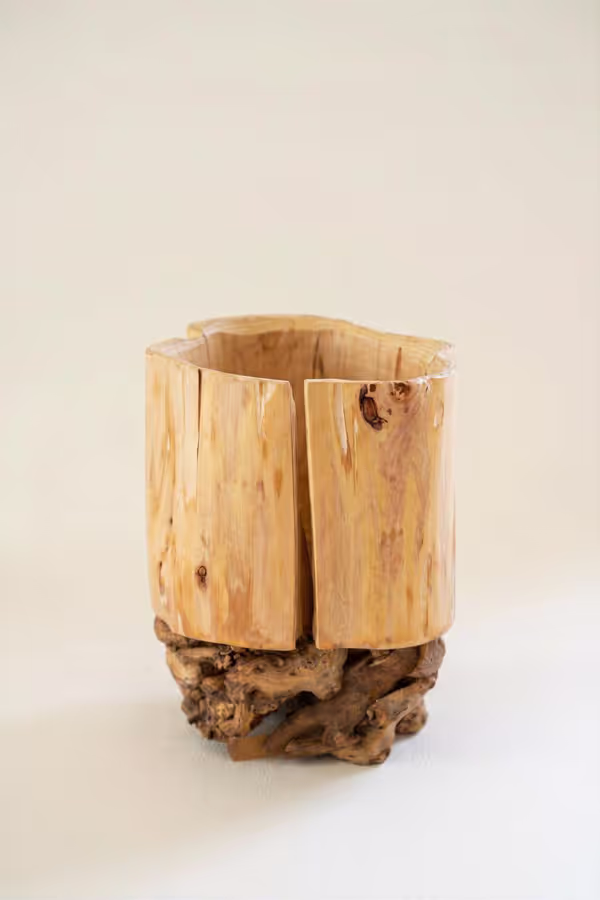Recycled Fir Wood Vessel on a Mulberry Root Base