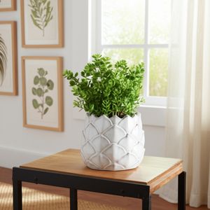 DOUGALSHAW WHITE PLANTER 5 (IN) 11