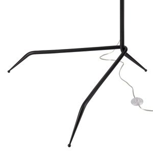 Risley 81.5'' High 3-Light Floor Lamp - Matte Black 6