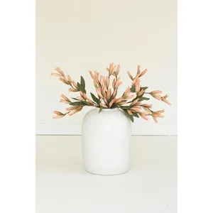 botanica #9039 2