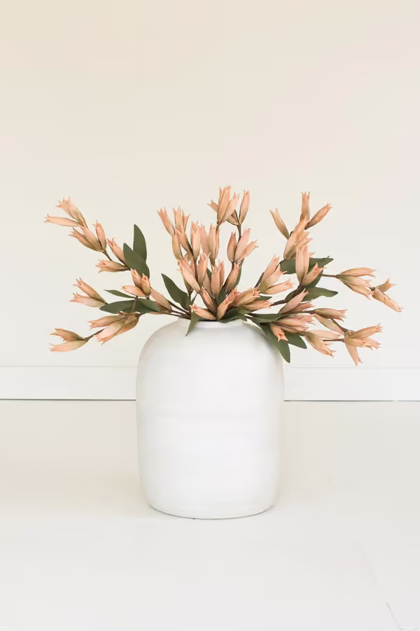 botanica #9039