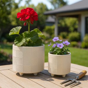 EMMETLAKE SET OF 2 WHITE PLANTER 8 (IN) 10