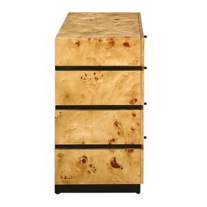Bromo Chest - Large Natural Burl 3