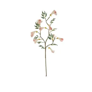 Botanica #3524 2