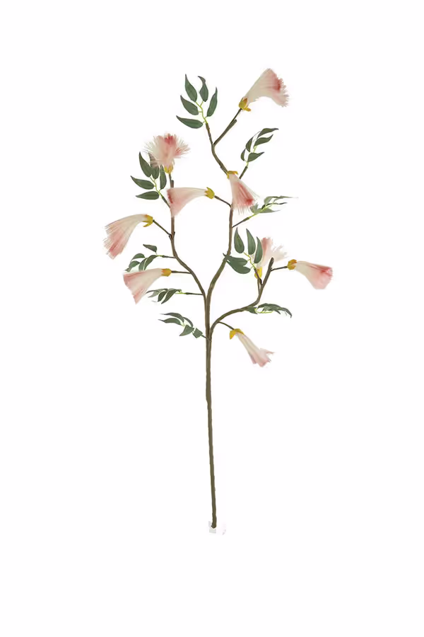 Botanica #3524