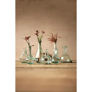 Set of 6 Bottle Bud Vases 1