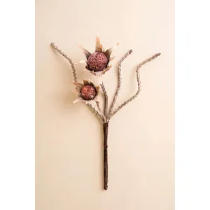 Botanica #2882 3