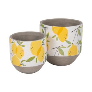 HATCHERGATE SET OF 2 YELLOW PLANTER 7 (IN) 4