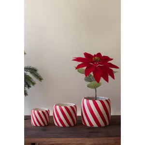 Set of 3 Concrete Candy Cane Planters 4