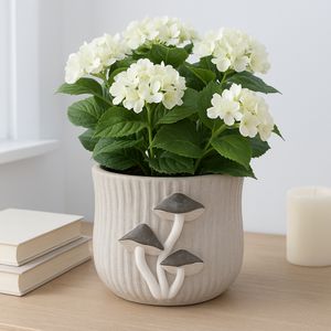 BRICEMORE GRAY PLANTER 5 (IN) 10