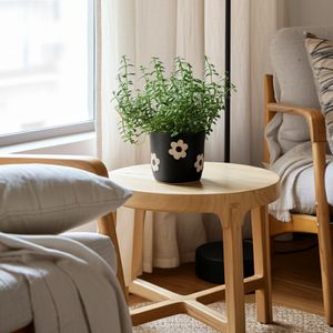 BELDENTON BLACK PLANTER 6 (IN) 11