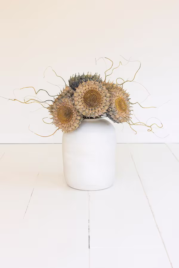 Botanica #2771
