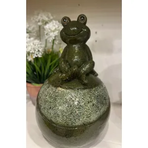 Solar Frog 8.5x13.8in 1