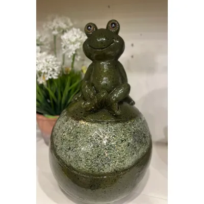Solar Frog 8.5x13.8in