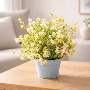 Rose Garden Pot 10in 1