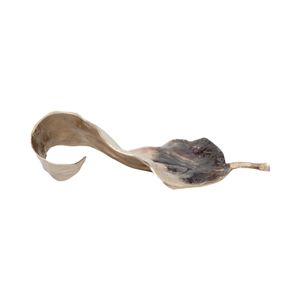 WINTONWIND IVORY METAL 6 (IN) 4