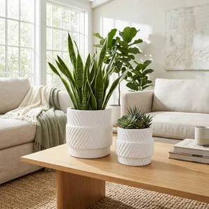 COLVINWICK SET OF 2 WHITE PLANTER 10 (IN) 10