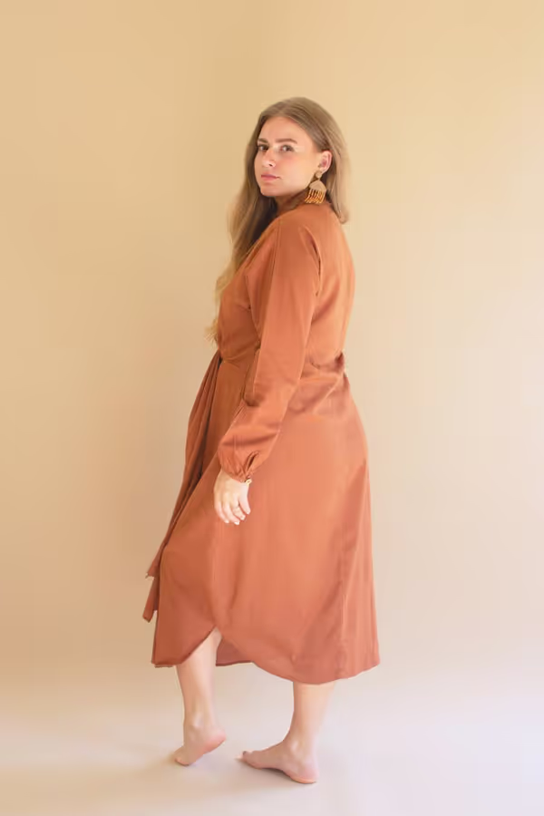 Long-Sleeve Button-Front Dress with Front-Tie Detail / Cinnamon