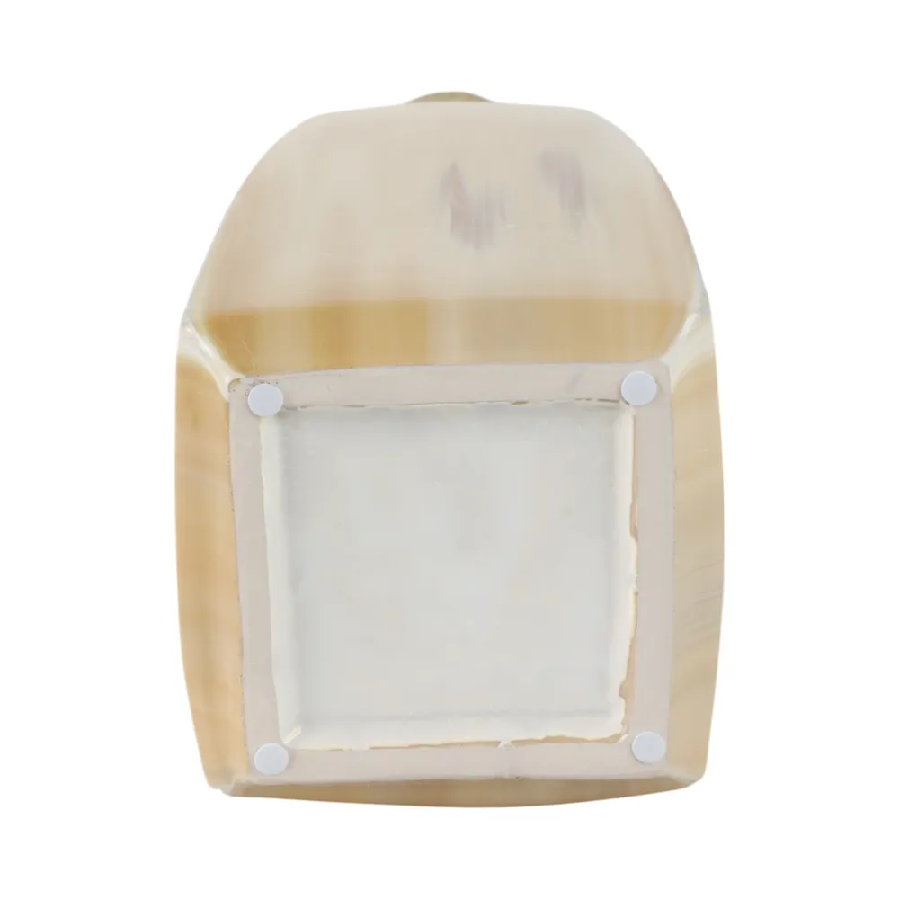 FLORAWELL TAN VASE 20 (IN)