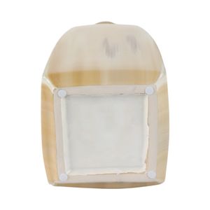 FLORAWELL TAN VASE 20 (IN) 8