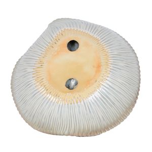 HOLTONBURN IVORY BOWL 5 (IN) 6