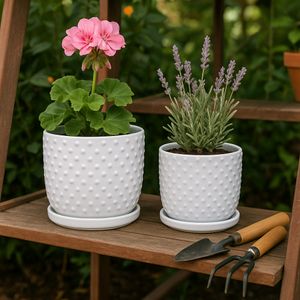 FIONAOAK SET OF 2 PLANTER 7 (IN) 12