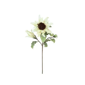 Botanica #2797 4