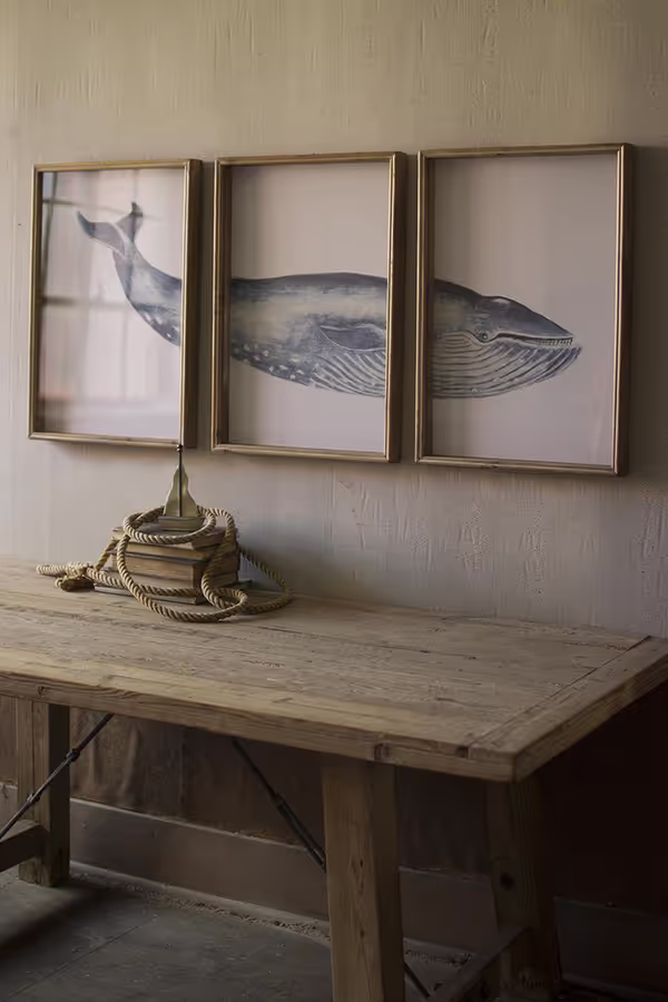 Framed Whale Triptych Print Under Glass