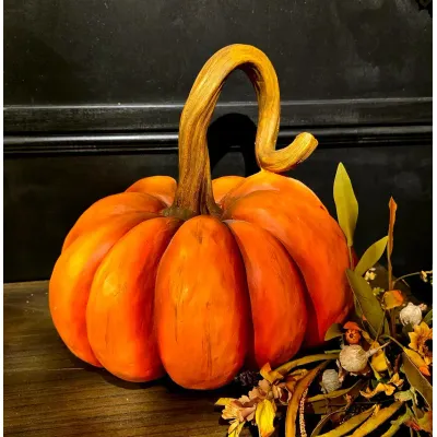 Pumpkinny 13x13x13in