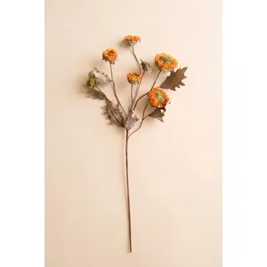 Botanica #2890 3