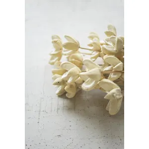 Bundle of 24 Bleached Bullet Flowers on Stems 2