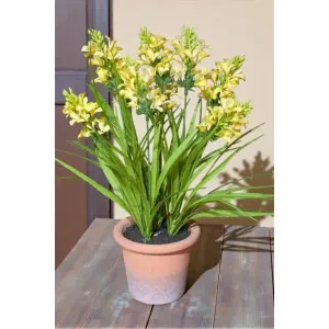 Soft Meadow Bloom Pot 18in 2