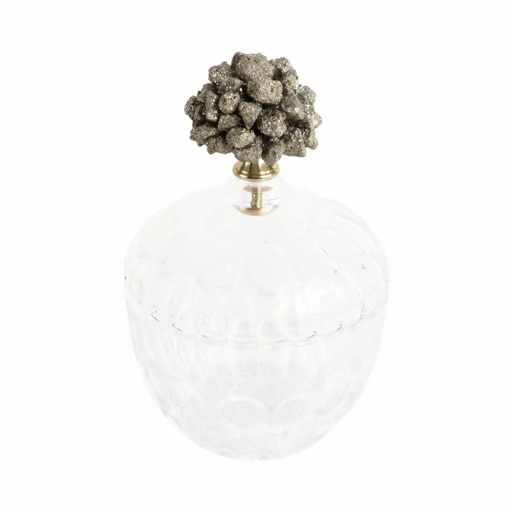 REXROSE CLEAR JAR 8 (IN)
