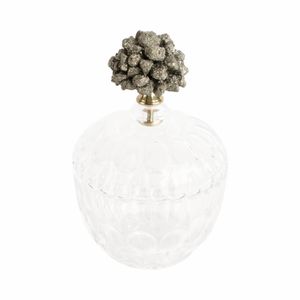 REXROSE CLEAR JAR 8 (IN) 4