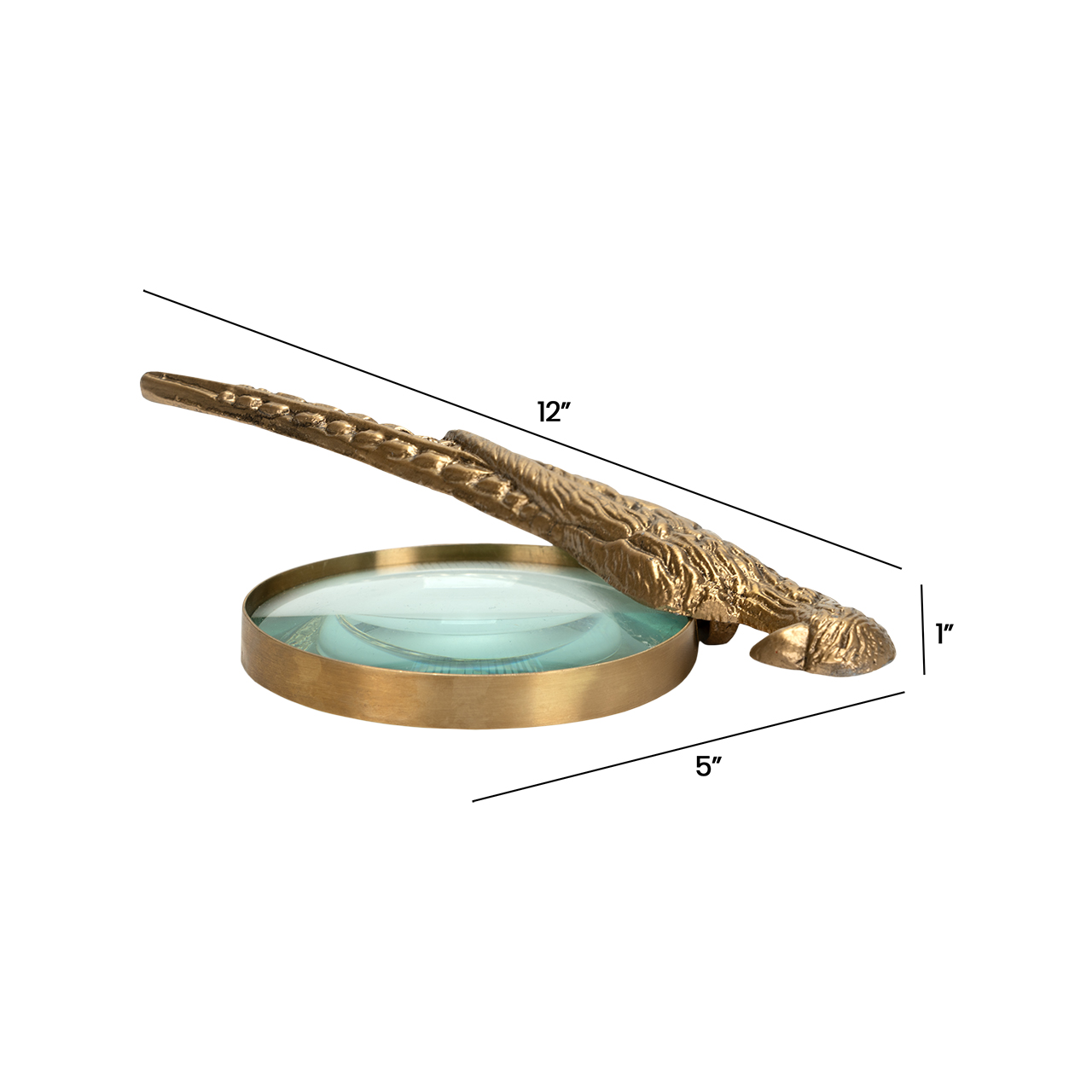 Norine Magnifying Glass 3