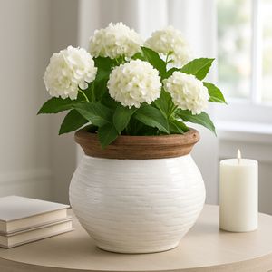 CHESTER WHITE PLANTER 7 (IN) 11