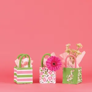 Posy Pups Tincy Wincy Gift Bag Set 3 2